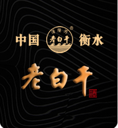 常州市武進(jìn)金寶電機(jī)有限公司